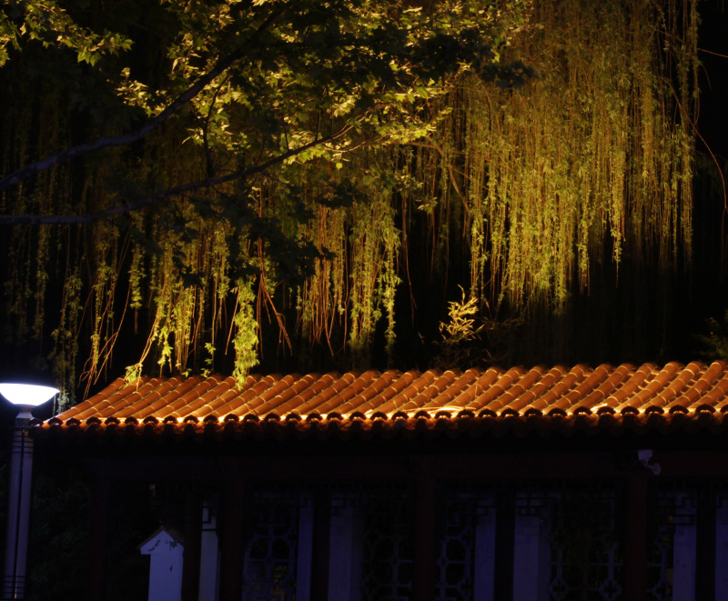 人民（mín）公園