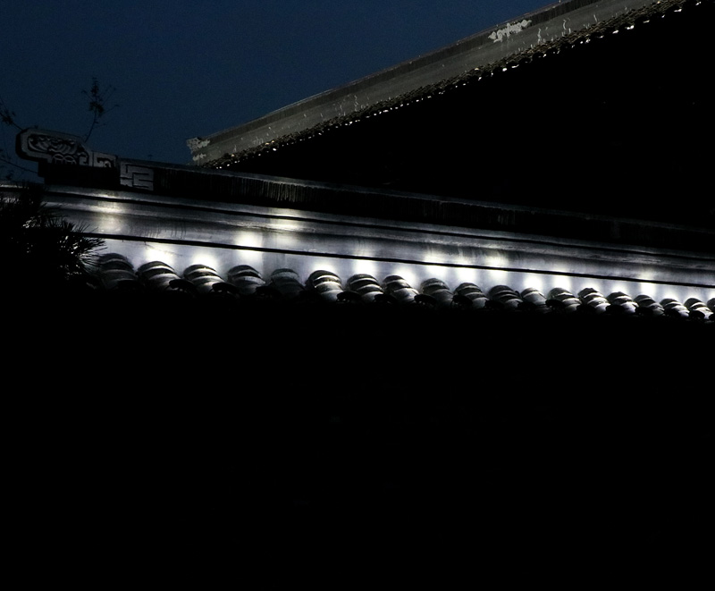 建湖九龍（lóng）口